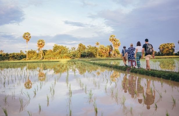 Bali's hidden rice terraces trek experience