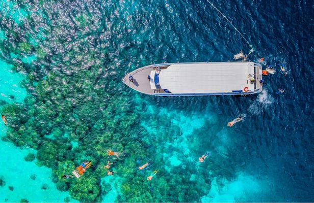 Surin Islands 3-reef snorkel masterpiece from Khao Lak