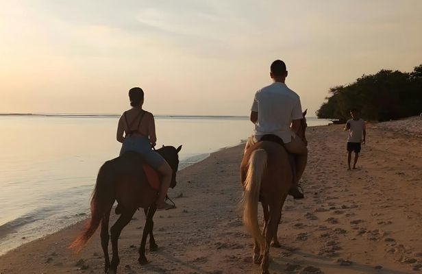 Horse riding on the beach in Gili Trawangan