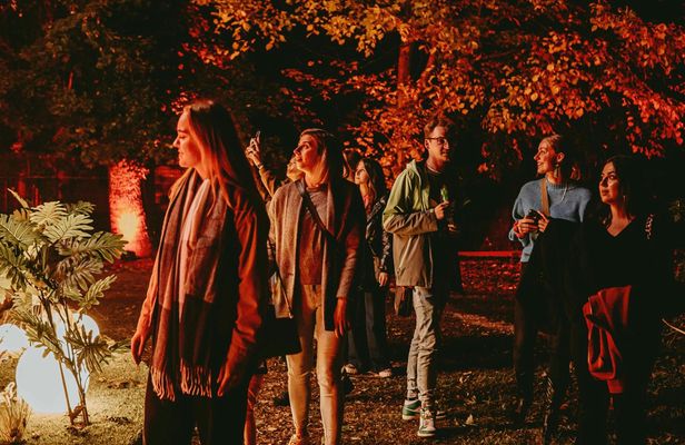 Budapest Lumina Park Entry Ticket