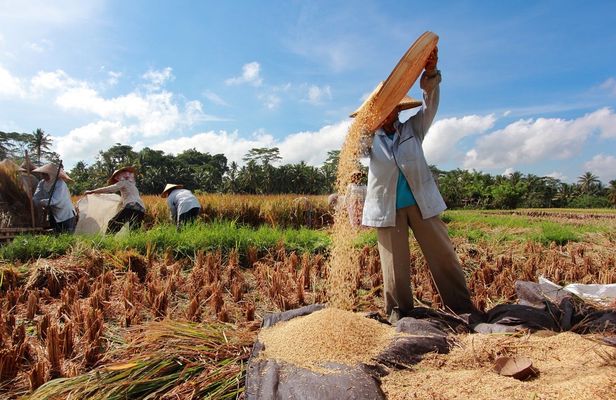 Customized private guided tour