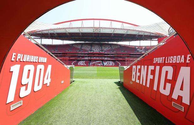 SL Benfica Stadium and Cosme Damião Museum tour with light meal
