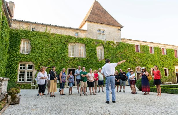 Chateaux and Terroirs Guided Tour on the Bordeaux Wine Roads