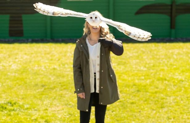 Boat Tour to the Cliffs of Moher and Aillwee Cave from Dublin