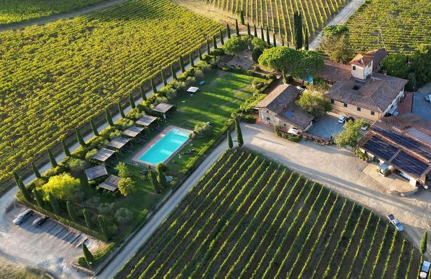 Guided tour and wine tasting in Chianti Classico