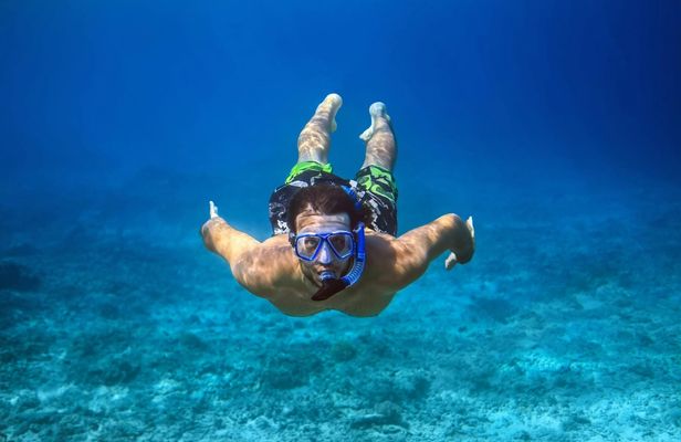 2-hour snorkelling boat tour at Ponta de São Lourenço