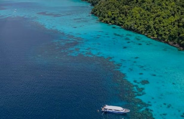 Surin Islands reef snorkel from Phuket