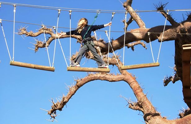 Accrobaobab adventure from Sarene