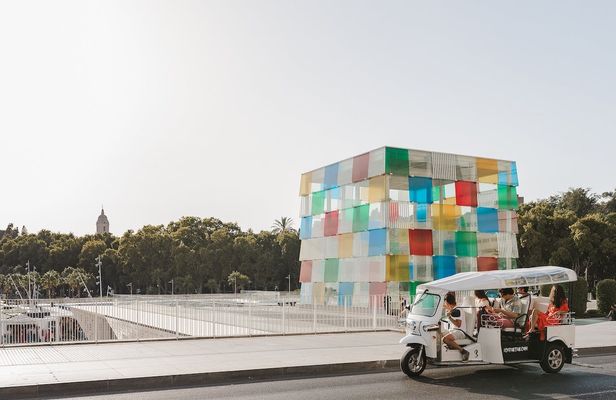 2-hour expert tour of Malaga in a private electric tuk-tuk