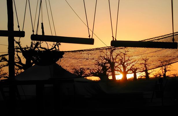 Accrobaobab adventure from Somone