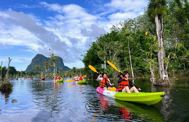 Half-day Klong Root kayak experience with pineapple farm tour