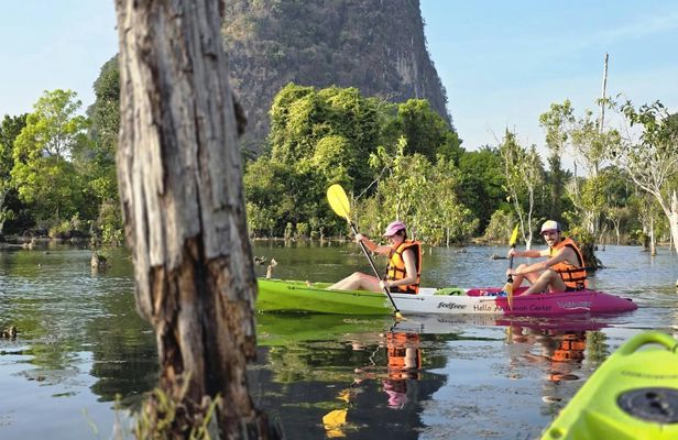 Klong Root kayak, eco printing, rubber tapping and pineapple farm tour