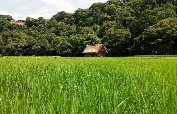 Shirakawago and Kanazawa guided day tour from Kyoto