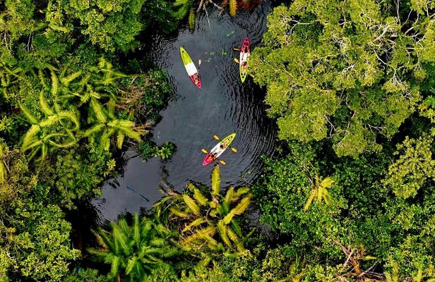 Klong Root kayak, batik class, rubber tapping and pineapple farm tour
