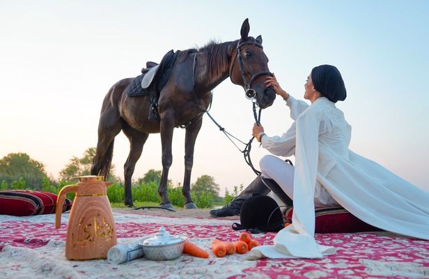 Arabian horse riding experience with live BBQ in Bedouin village