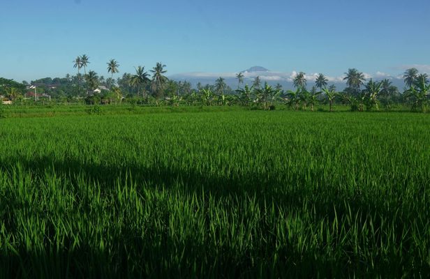 Rural villages and sacred caves cycling adventure in Lombok with lunch