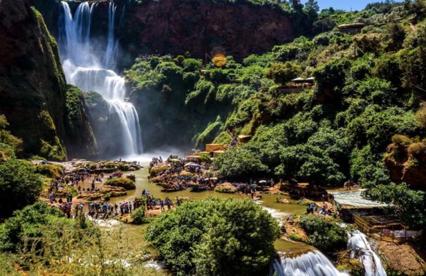 Private full-day trip to Ouzoud Falls from Marrakech