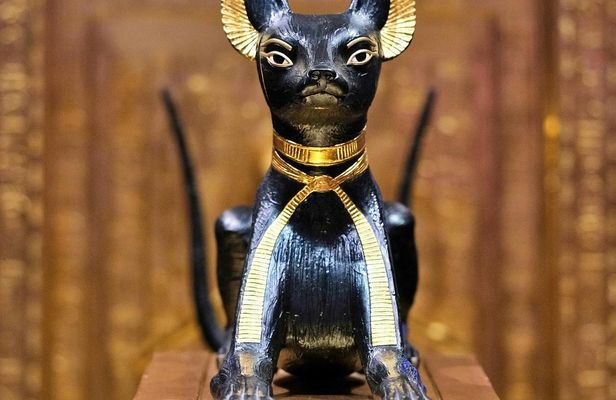 New Grand Egyptian Museum and Giza Pyramids from Cairo with Lunch