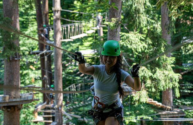 Tickets for Ropes Park Interlaken