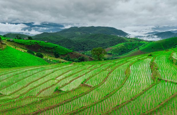 Full-day van charter with driver in Northern Thailand