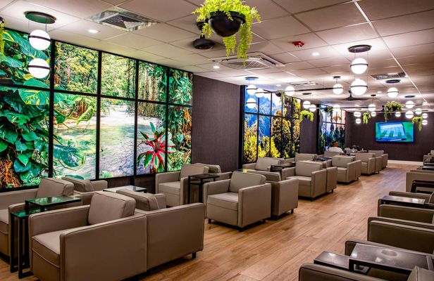 Club Kingston VIP Lounge access