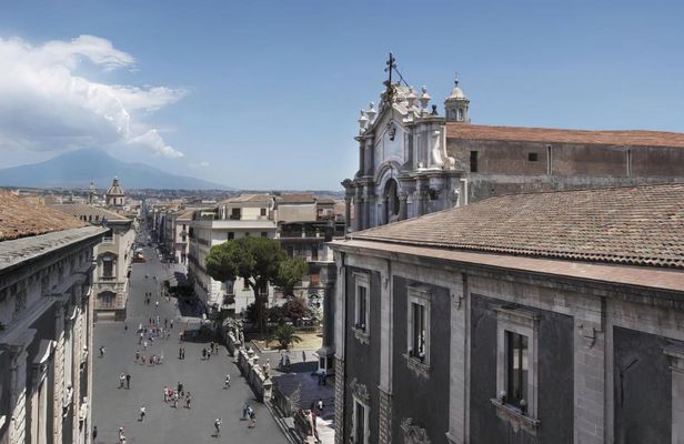 Full-day Etna Wine Bus tour with wine and food tasting