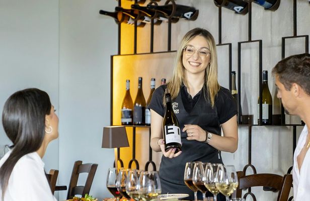 Etna and wine guided tour from Syracuse