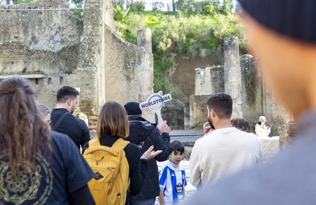Herculaneum shared tour from Naples