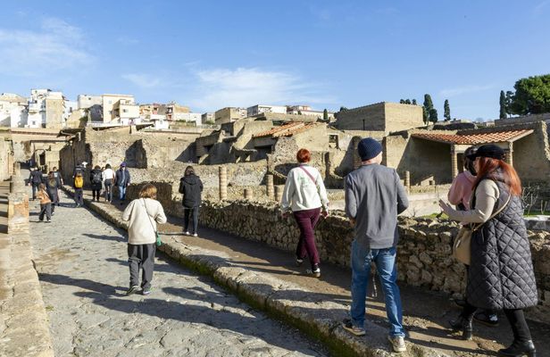 Pompeii and Herculaneum shared tour from Naples