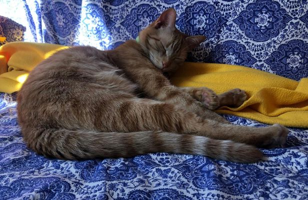 Calendar test for SI