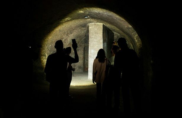 Viennese underground guided walking tour