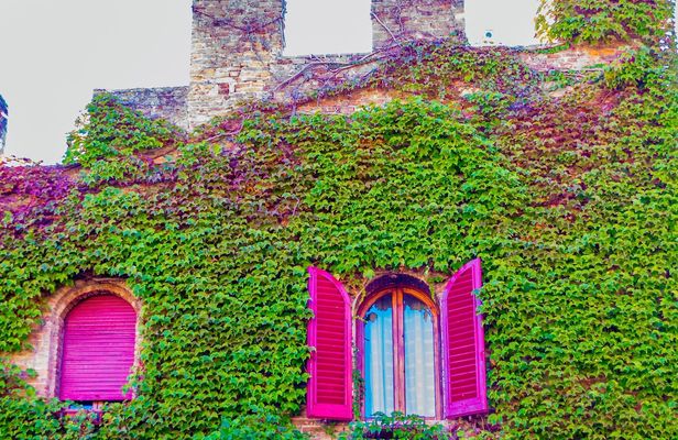 San Gimignano, Siena and Chianti Day Trip