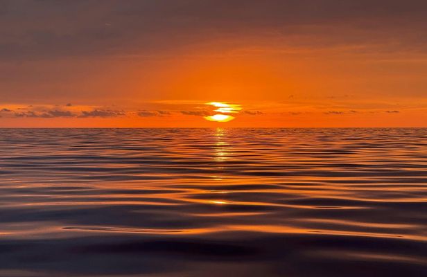 Gran Canaria dolphin watching sunset experience