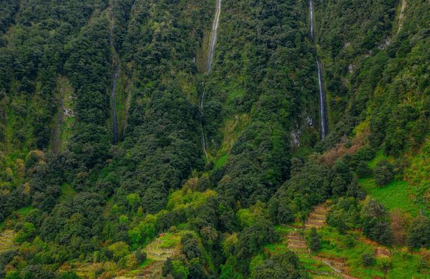 Levada do Alecrim and Lagoa do Vento self-guided experience