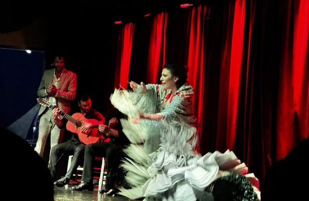 Dinner and Flamenco show in Alicante Marina with private transfer