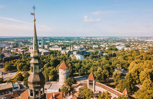 Explore Tallinn's photogenic highlights with a local