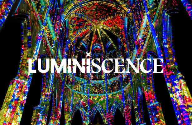 LUMINISCENCE UK at Manchester Cathedral: The 360° Immersive Concert