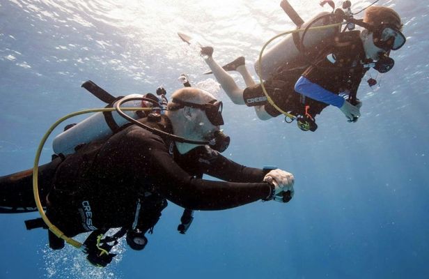 Discover scuba diving experience in La Palma