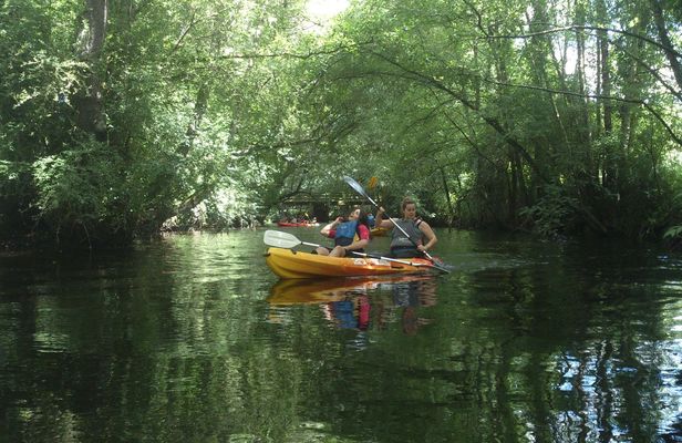 Miño River and Biosphere Reserve kayak exploration with refreshments