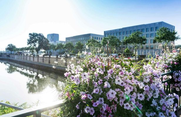 Discover Mulhouse on a guided walking tour with a local