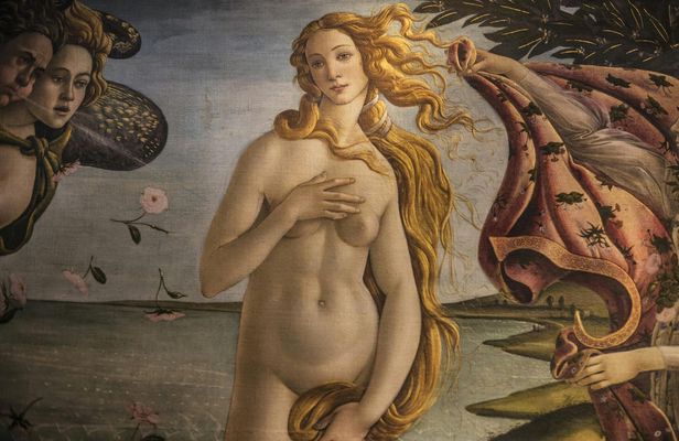 Uffizi Gallery, Michelangelo's David and Accademia guided tour