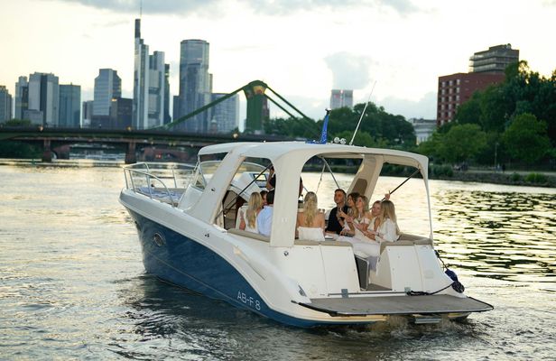 Private boat tour for up to 10 people in Frankfurt with skyline view