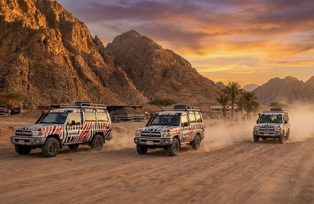 Ultimate Desert Experience with Dinner and Show in Hurghada