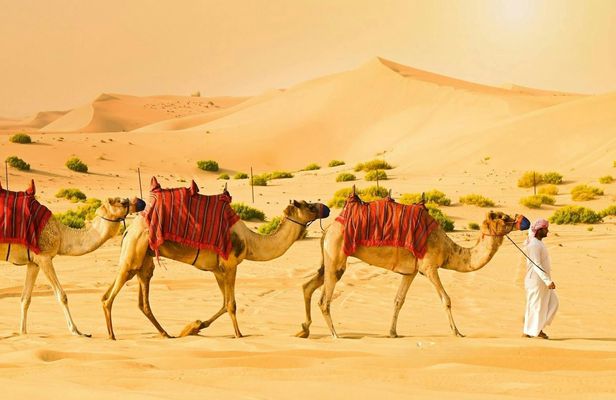 Morning desert safari with dune bashing, sandboarding, and camel ride