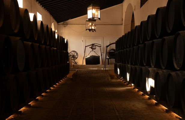 Seville Bodegas Góngora premium tour with tasting experience