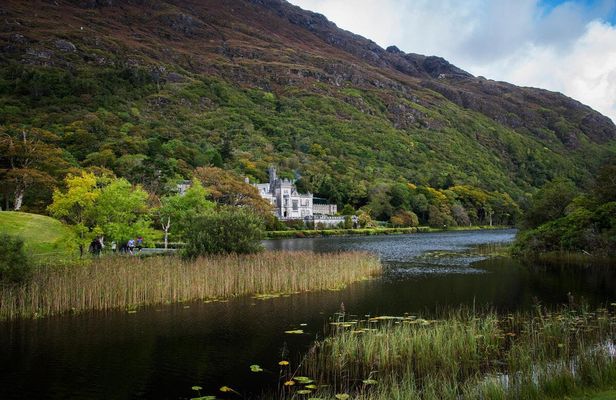 Connemara, Killary sheep farm and Galway day trip from Dublin