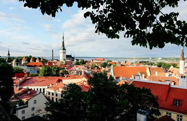 Navigate Tallinn's Insta-perfect spots with a local