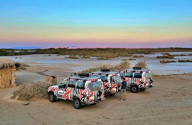Naqb National Park in a 4x4 with camel ride and dinner