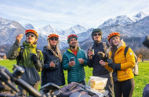 Guided scenic winter e-bike tour from Wilderswil