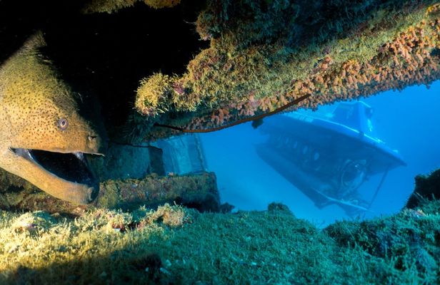 Mauritius submarine tour